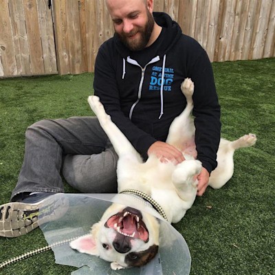 Employee Duane McElvain playing with a dog