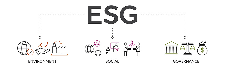 ESG (environmental, social, governance)